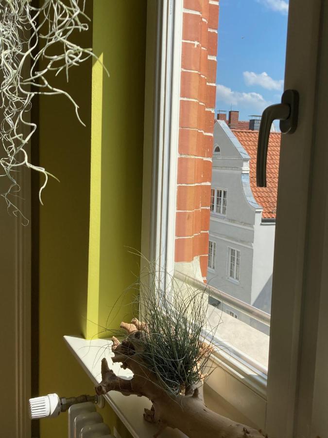 Raumausbeute Design Naturraum Detmold