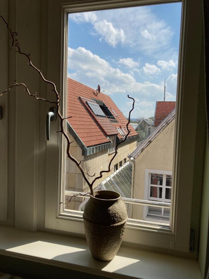 Appartement Raumausbeute Design Naturraum